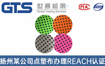 點塑布REACH認(rèn)證